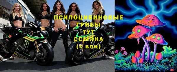 а пвп мука Алзамай