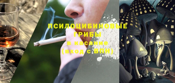 а пвп мука Алзамай