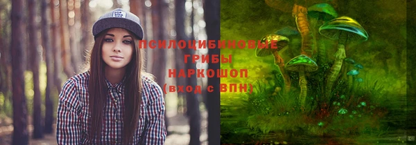а пвп мука Алзамай